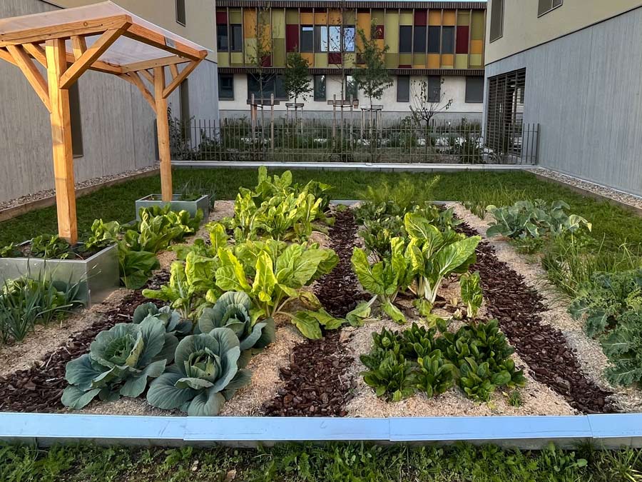 Potager sur mesure installé par les paysagistes de Quadra Terra à Valence dans la Drôme (26)