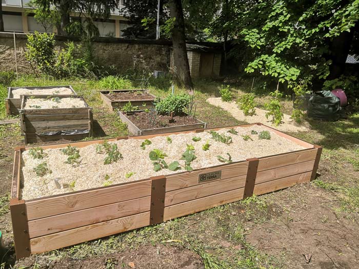 Potager créé par le paysagiste Quadra Terra à Romans-sur-Isère