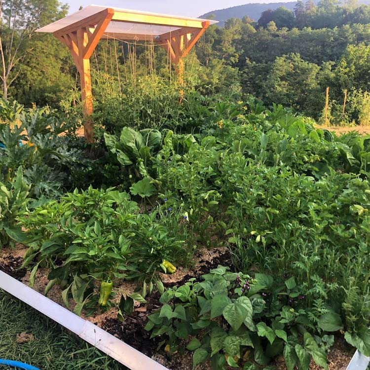 Potager créé par le paysagiste Quadra Terra à Tain-l'hermitage dans la Drôme