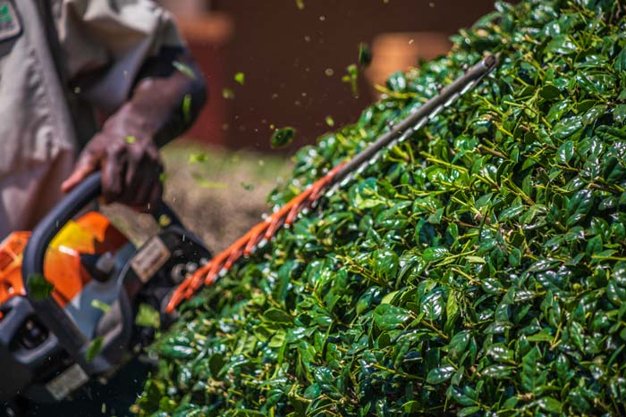 Entretien des espaces verts Valence 26